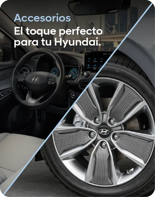 accesorios